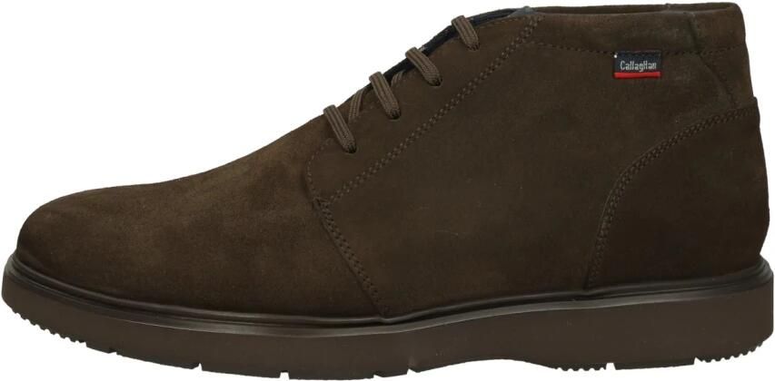 Callaghan Alan Veterschoen