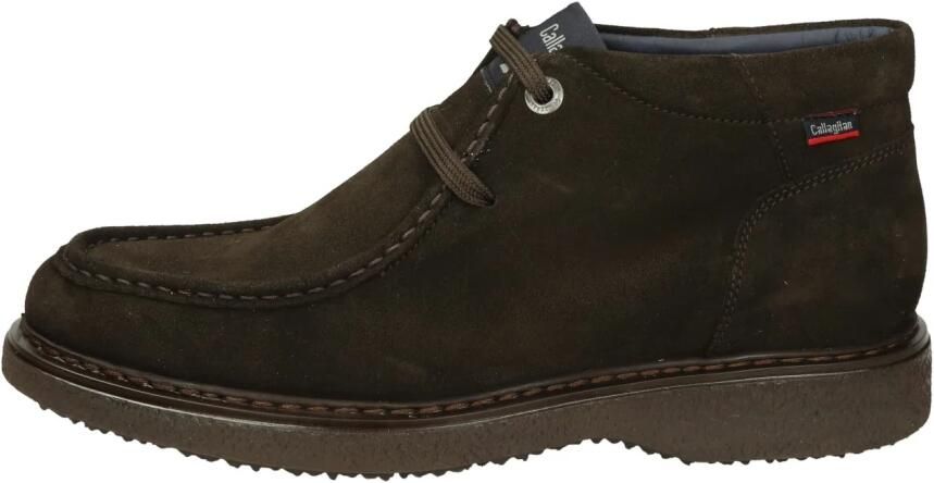 Callaghan Polacco Lacci