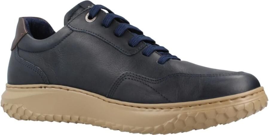 Callaghan DORADO JACINTO Blauw