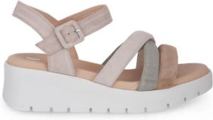 Callaghan Sandals Roze Dames