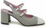 Carel Grijze Leren Ballet Pumps Ss24 Multicolor Dames - Thumbnail 1