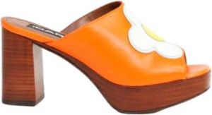 Carel Hakken muilezels Oranje Dames
