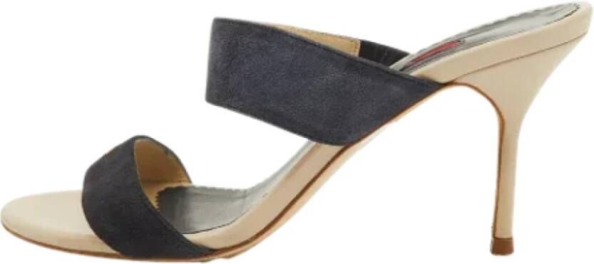 Carolina Herrera Pre-owned Suede sandals Blue Dames