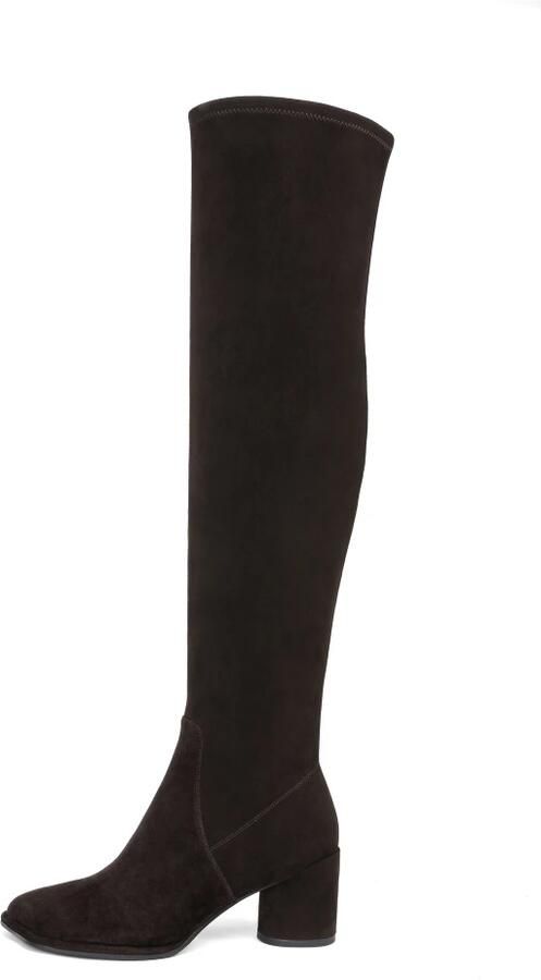 Cesare Gaspari Suede Leder Over-knee Laarzen
