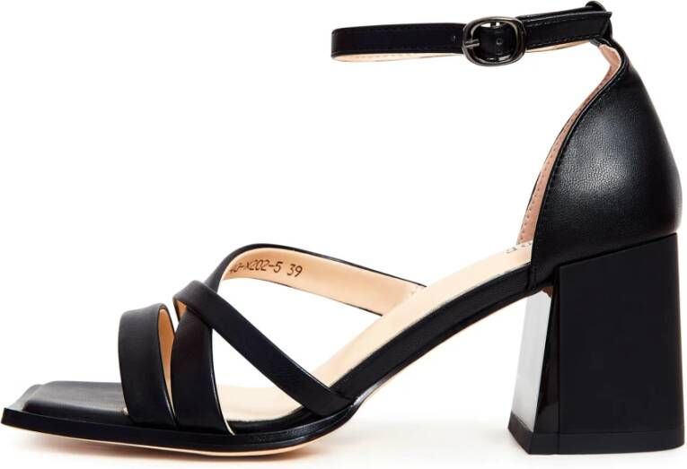 Cesare Gaspari Zwarte Blokhak Sandalen Black Dames