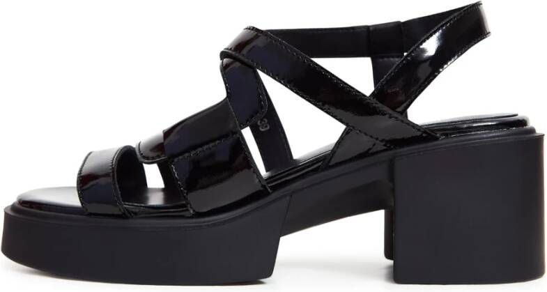 Cesare Gaspari Zwarte Blokhak Sandalen Black Dames