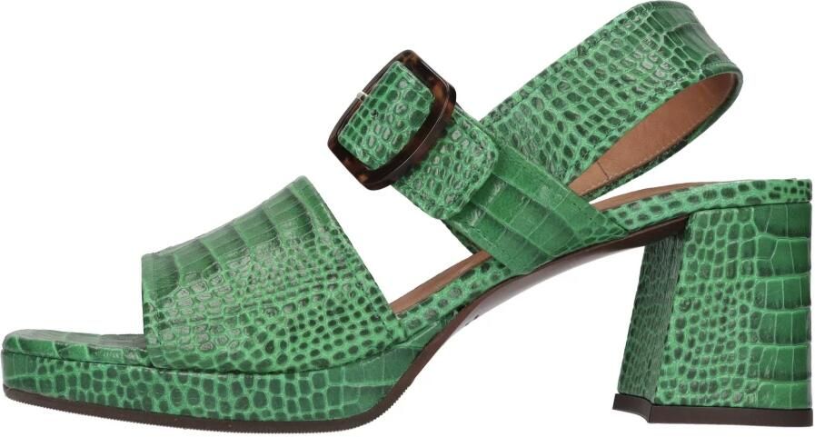Chie Mihara Ginka Sandals