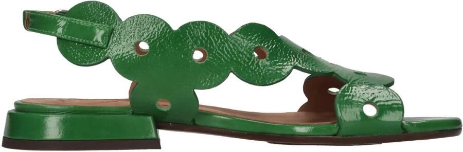 Chie Mihara Tuide Flat Sandals