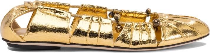 Chloé Dames Ballerina Schoenen Goud Ss25