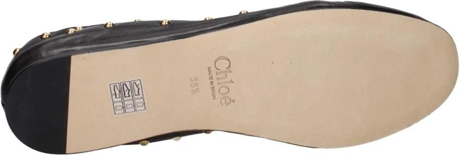 Chloé "Eia" Ballerinas In Semi-Gloss Leather in zwart