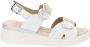 Cinzia Soft Dames Sandalen van Kunstleer met Gesp Sluiting White Dames - Thumbnail 1