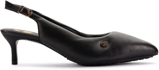 Clarks Heels
