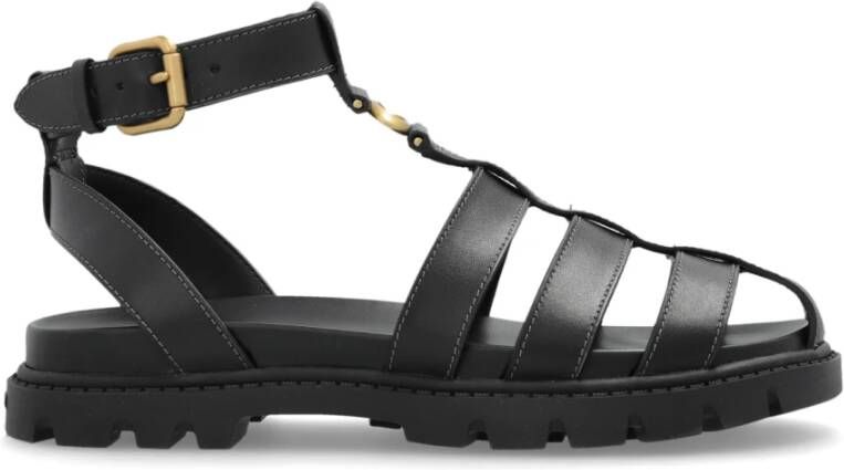 Coach Sclupt Sandalen
