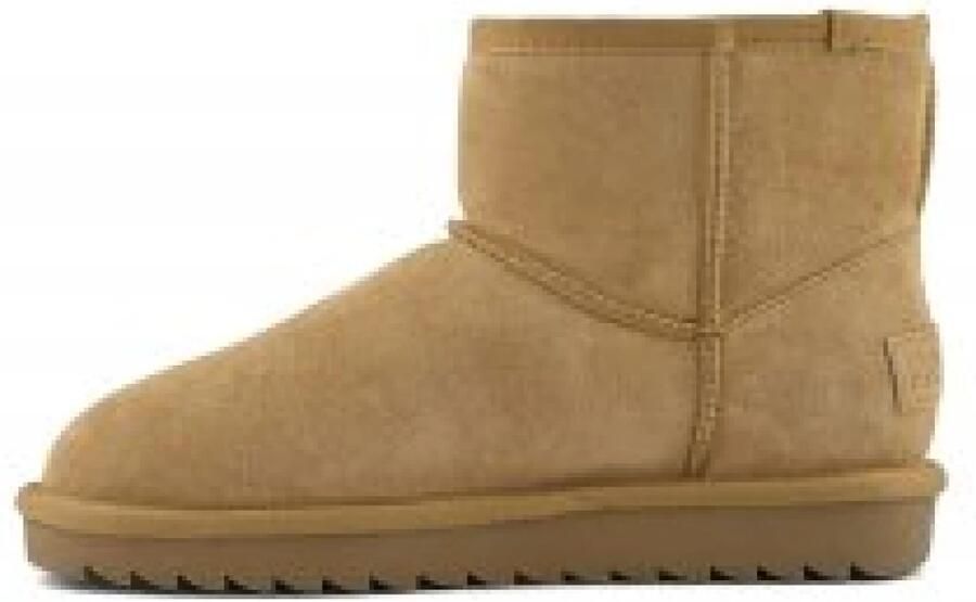 Colors of Califonia Colors Of California Enkellaarsjes Suede Bruin Dames - Foto 2