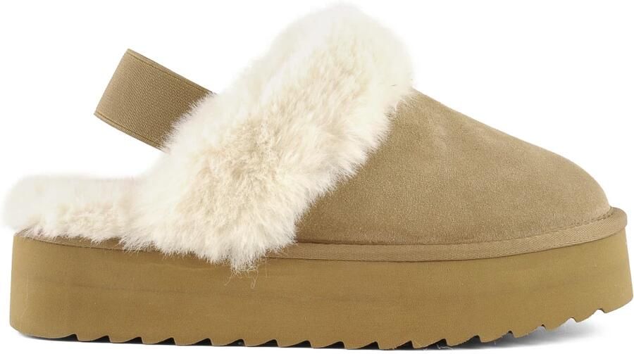 Colors of California Sabot Platform