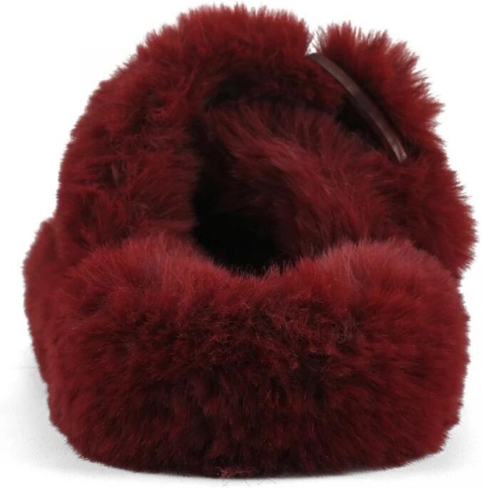 Colors of California Slippers