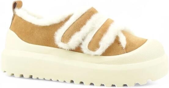 Colors of California Sneaker