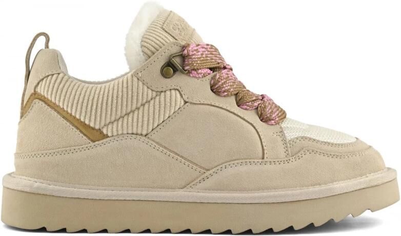 Colors of California Sneakers