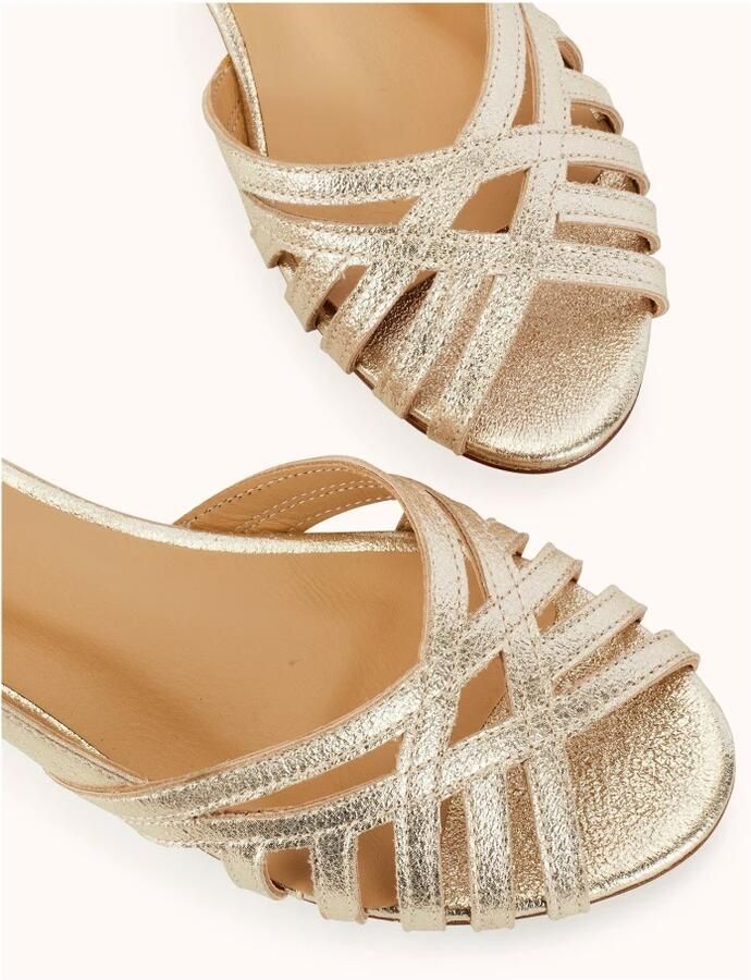 Cosmoparis Dalyna Ballerina - Foto 2