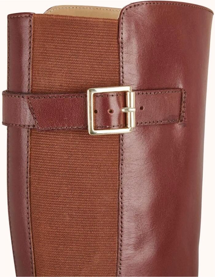 Cosmoparis Kathe Rijlaars - Foto 2