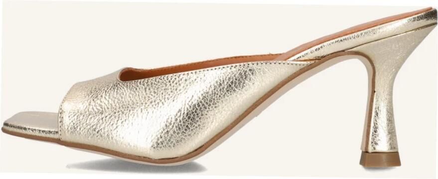 CTWLK Ramory Hakken Dames Goudkleurig - Foto 6