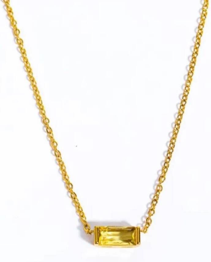 Dansk Copenhagen November Geboortesteen Ketting Verguld