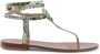 Dee Ocleppo Tropische Print Capri Sandalen Multicolor Dames - Thumbnail 2