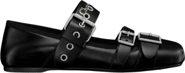 Dior Punk Ballerina Schoenen