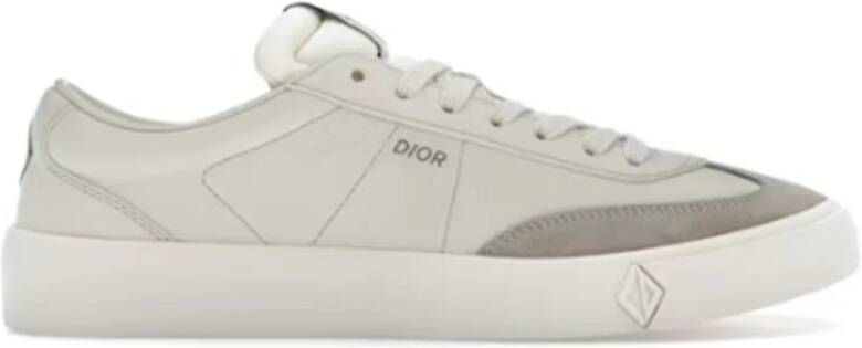 Dior Sneakers Gray Heren