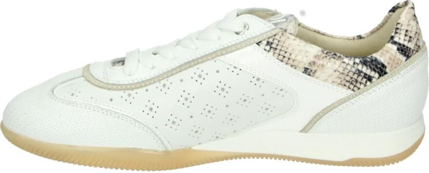 DL Sport 6947 Pamela