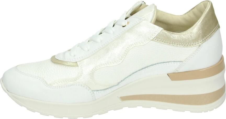 DL Sport 6999 Angel
