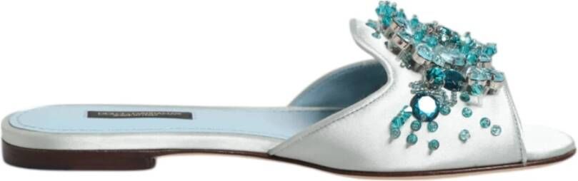 Dolce & Gabbana Blauw Zilver Kraal Versier Slide Sandalen