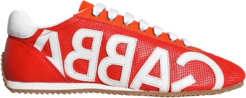 Dolce & Gabbana Multicolor Leren Lage Top Logo Sneakers Multicolor Dames