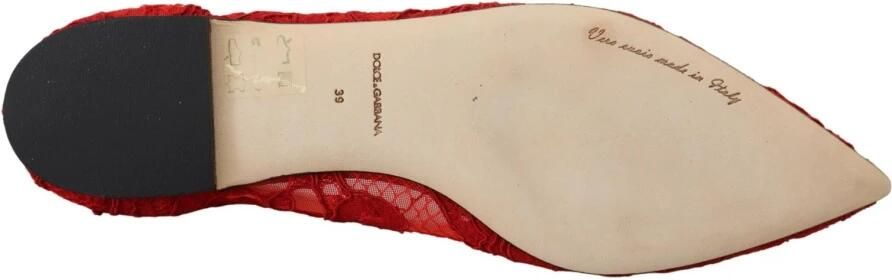 Dolce & Gabbana Rode Taormina Kristal Ballerinas Ballerina Red Dames