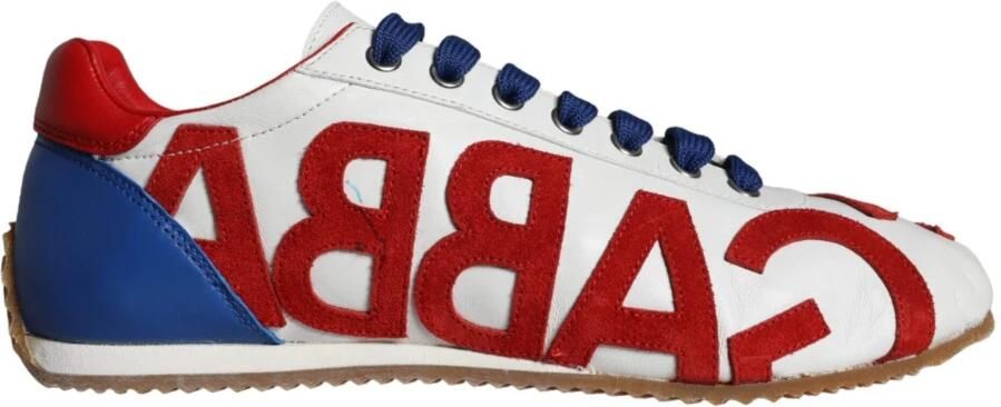 Dolce & Gabbana Logo Casual Sneakers Multicolor Leer Multicolor Dames
