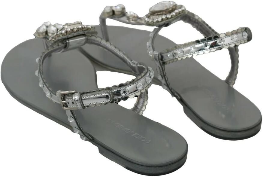 Dolce & Gabbana Zilveren Kristal Flip Flops Glamoureus en Authentiek Gray Dames