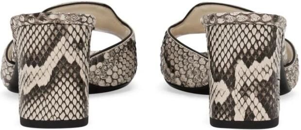 Dolce & Gabbana Python Mule Sandalen met Metalen Logo