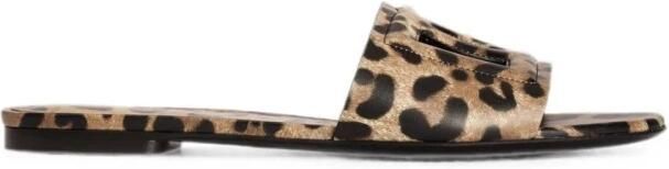 Dolce & Gabbana Slippers met Luipaardprint