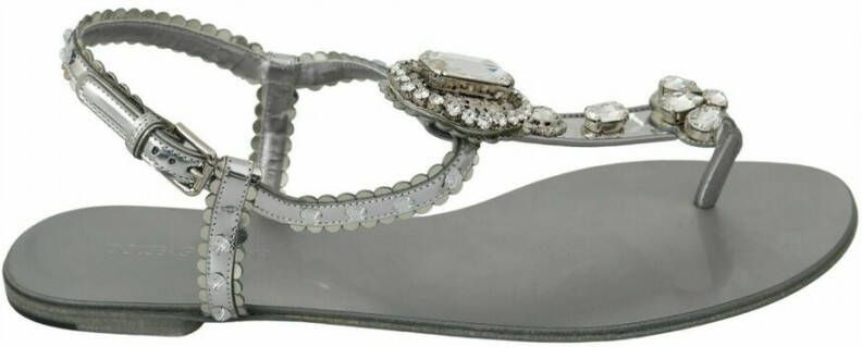 Dolce & Gabbana Zilveren Kristal Flip Flops Glamoureus en Authentiek Gray Dames