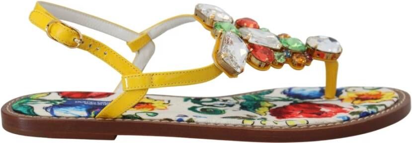 Dolce & Gabbana Multicolor Majolica Kristal Sandalen Multicolor Dames