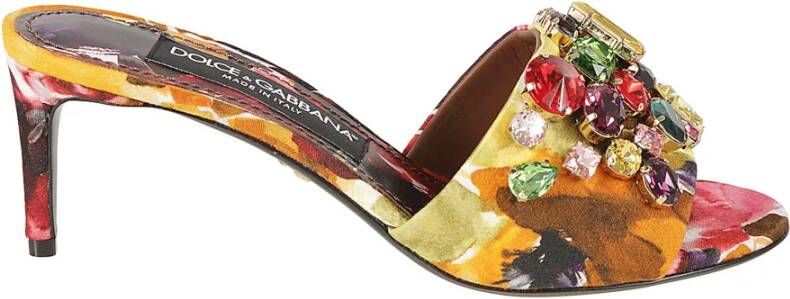 Dolce & Gabbana Hoge Hakken Multicolor Dames
