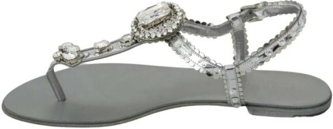 Dolce & Gabbana Zilveren Kristal Flip Flops Glamoureus en Authentiek Gray Dames