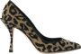 Dolce & Gabbana Luipaard Lurex Hakken Pumps Schoenen Multicolor Dames - Thumbnail 9