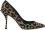 Dolce & Gabbana Luipaard Lurex Hakken Pumps Schoenen Multicolor Dames - Thumbnail 15