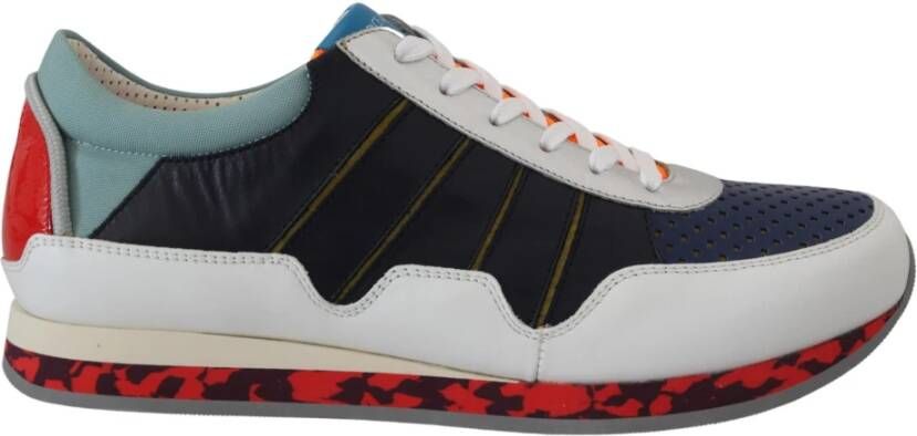 Dolce & Gabbana Multicolor Leren Sport Lage Sneakers Multicolor Heren
