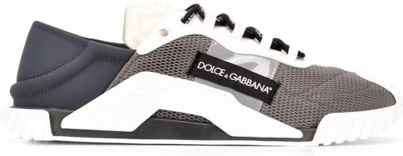 Dolce & Gabbana NS1 Grijze en Off White Sneakers Gray Heren