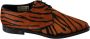 Dolce & Gabbana Oranje Tijgerpatroon Formele Schoenen Orange - Thumbnail 2