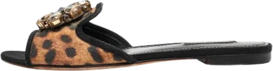 Dolce & Gabbana Pre-owned Coated canvas flats Brown Dames