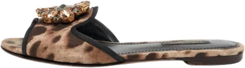 Dolce & Gabbana Pre-owned Fabric flats Brown Dames