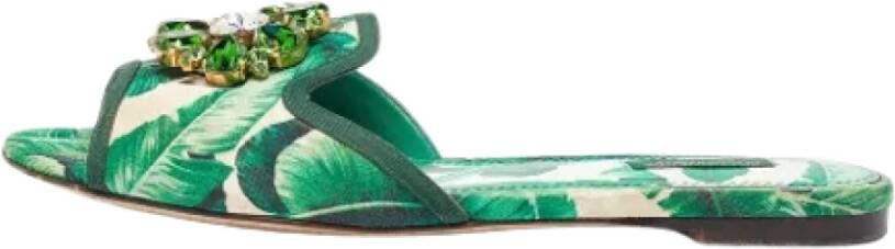 Dolce & Gabbana Pre-owned Fabric flats Green Dames